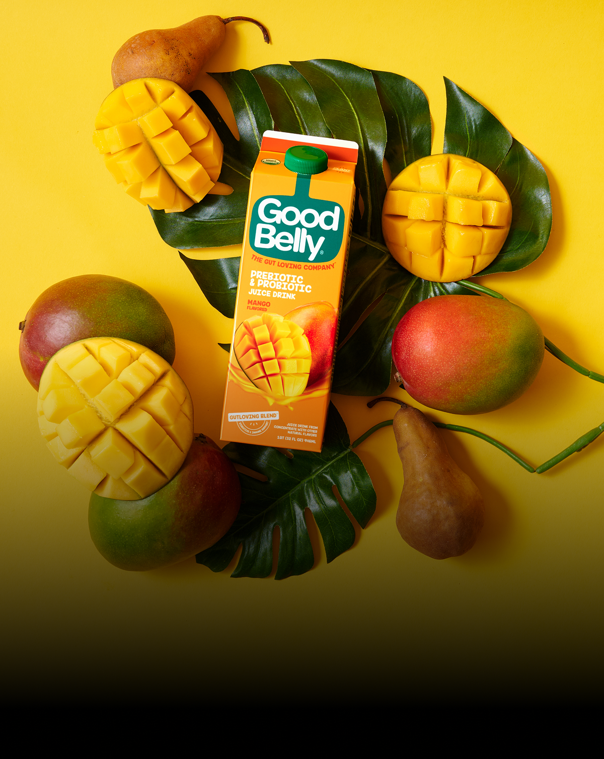 Gut Health Has Never Tasted So Good
